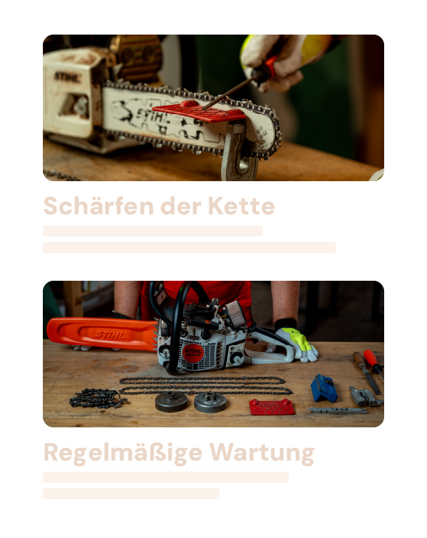 Saegenschein.de Mitgliederbereich Screenshot 5